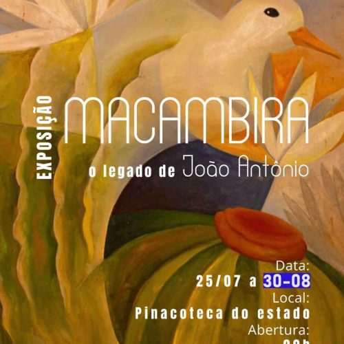 Última semana: exposição na Pinacoteca resgata legado de João Antônio, o “Dom Quixote do Seridó”