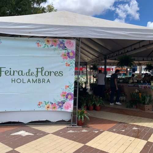 Feira de Flores de Holambra reúne mais de 200 espécies de plantas em Mossoró