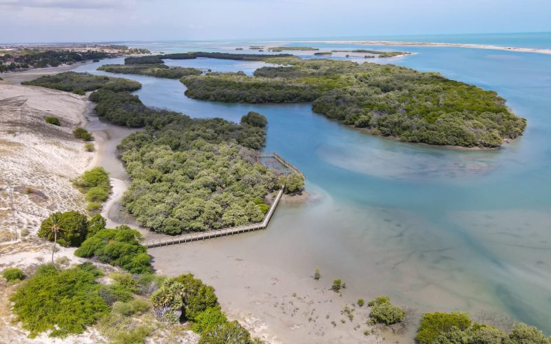 Equipes do Idema e Emprotur promovem soltura do Peixe-Boi Angelina em Diogo Lopes