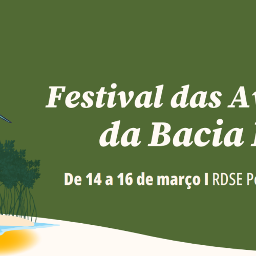 Instituto Neoenergia promove festival sobre conservação de aves no RN