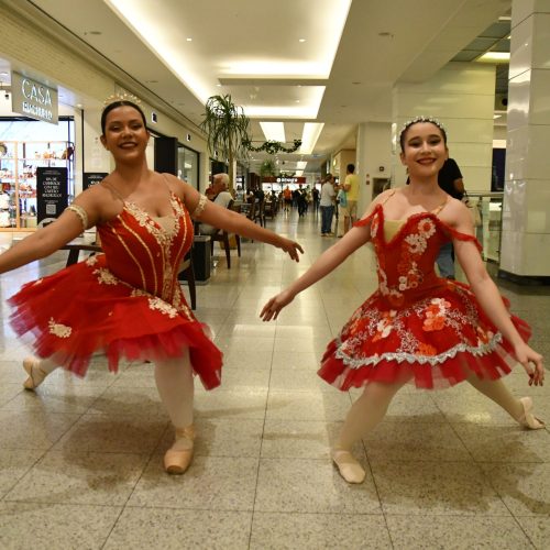 Ginásio Nélio Dias receberá espetáculo O Pavão Misterioso nesta quinta-feira (11)