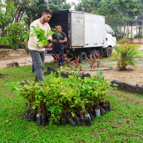 Horto de Parnamirim recebe quase 400 mudas de árvores nativas