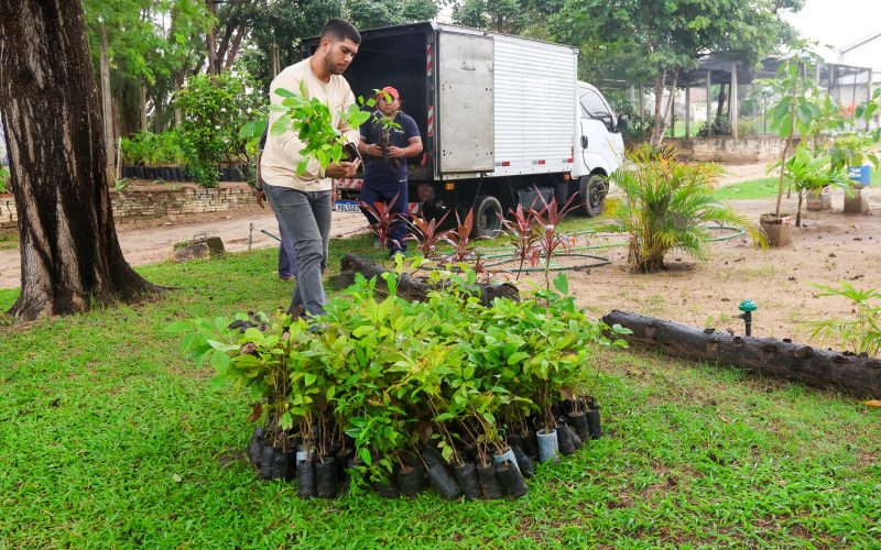 Horto de Parnamirim recebe quase 400 mudas de árvores nativas