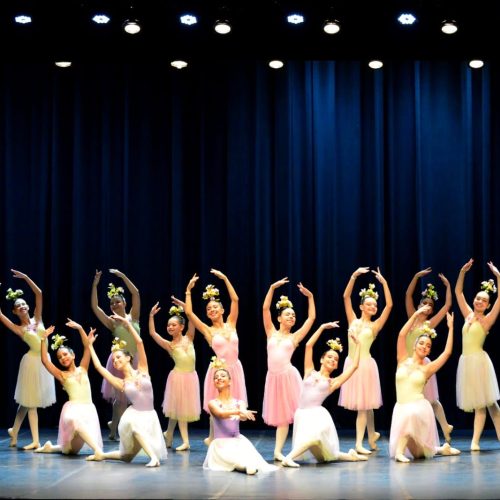 Gala Flávia Nery reúne repertório clássico e dança contemporânea no TAM