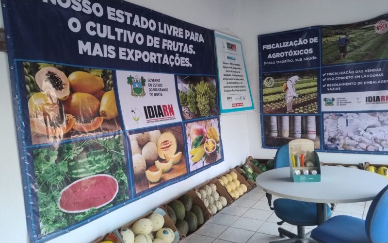 Festa do Boi 2024: IDIARN realiza I Ciclo de Palestras para produtores rurais e visitantes