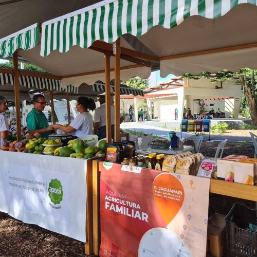 Nova Feira da Agricultura Familiar Raimundo Costa será lançada sábado em Natal