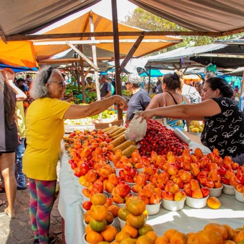 Semsur divulga funcionamento de mercados e feiras durante o Carnaval de Natal 2026