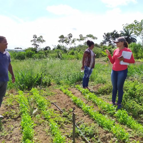 Projeto do RN com agricultoras familiares ganha prêmio de inovação e empreendedorismo