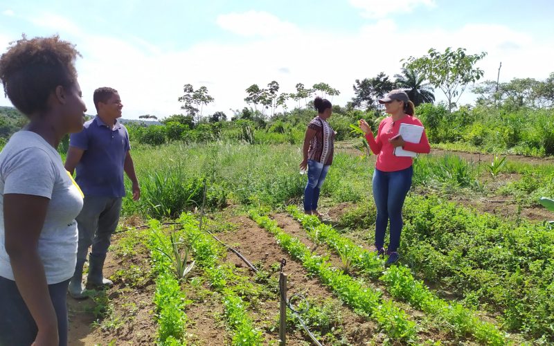 Projeto do RN com agricultoras familiares ganha prêmio de inovação e empreendedorismo