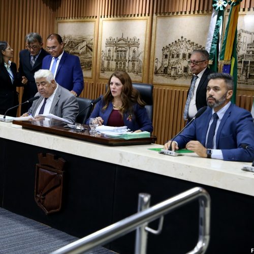 Câmara Municipal de Natal aprova projeto para instalação de brinquedos adaptados em praças