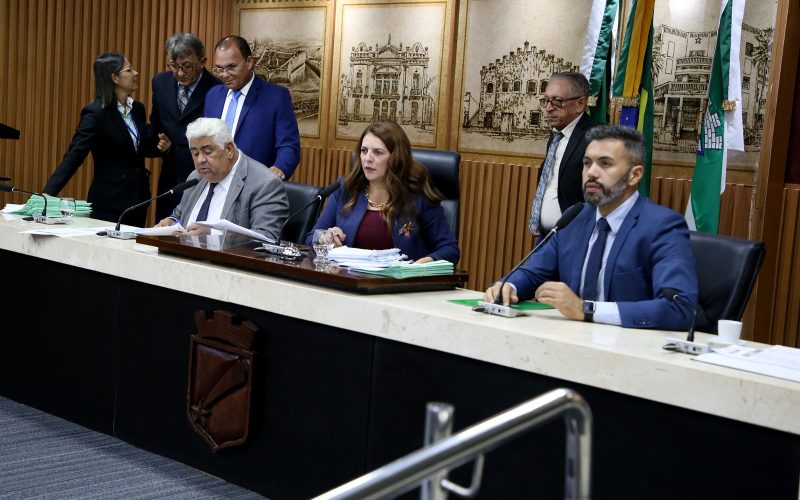 Câmara Municipal de Natal aprova projeto para instalação de brinquedos adaptados em praças
