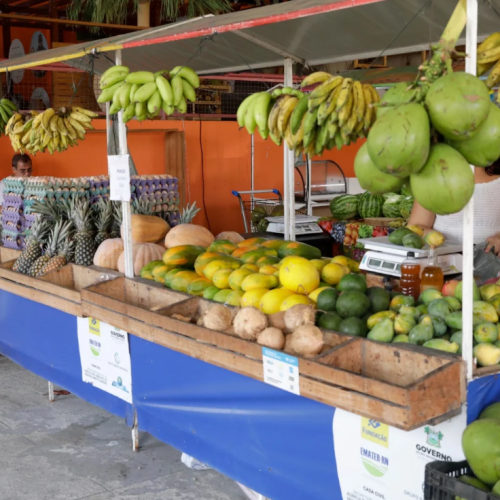 Feira Potiguar da Agricultura Familiar será realizada entre os dias 6 e 9 de novembro