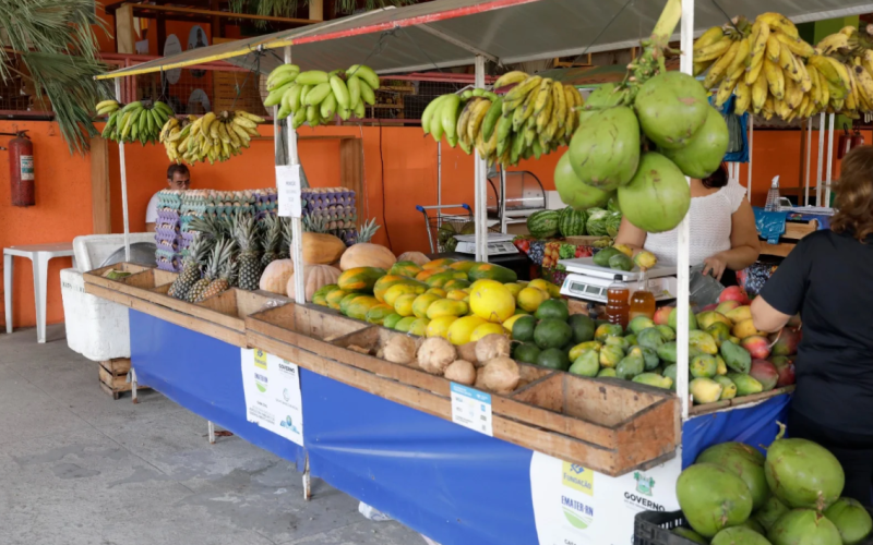 Feira Potiguar da Agricultura Familiar será realizada entre os dias 6 e 9 de novembro