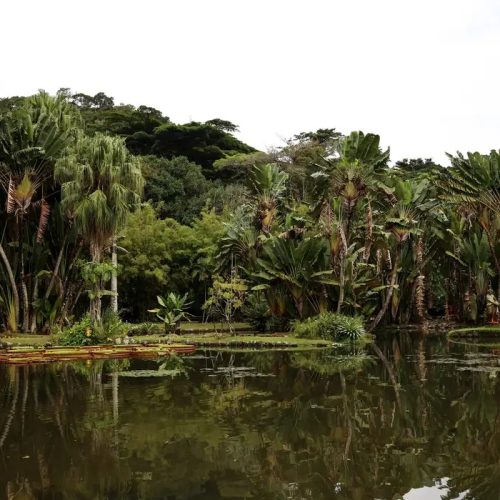 Concurso de Fotografia Limpa Brasil 2025 abre inscrições para celebrar ações ambientais no país