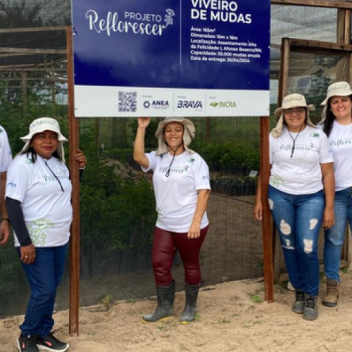 Agricultoras firmam contrato para fornecimento de 20 mil mudas ao projeto Reflorescer