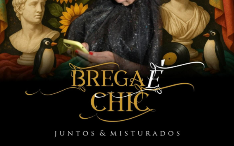 Contagem regressiva para a Festa “Brega é chic” de Hilneth Correia