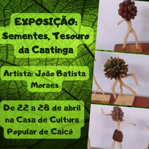 Exposição “Sementes: Tesouro da Caatinga” é destaque na Casa de Cultura popular de Caicó