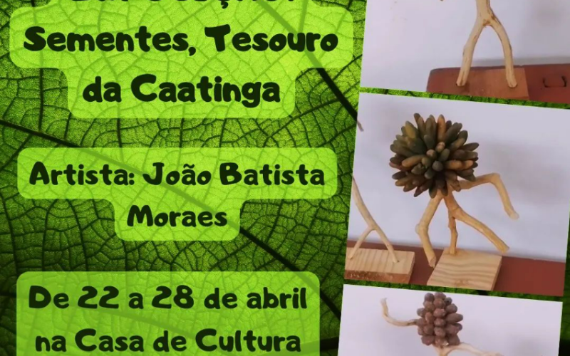 Exposição “Sementes: Tesouro da Caatinga” é destaque na Casa de Cultura popular de Caicó