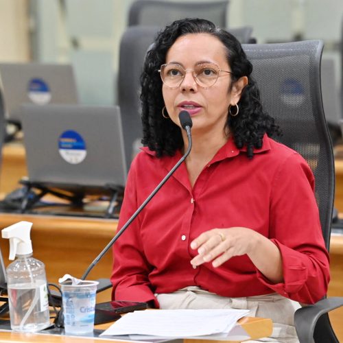Divaneide Basílio celebra aprovação de projetos de valorização cultural na ALRN