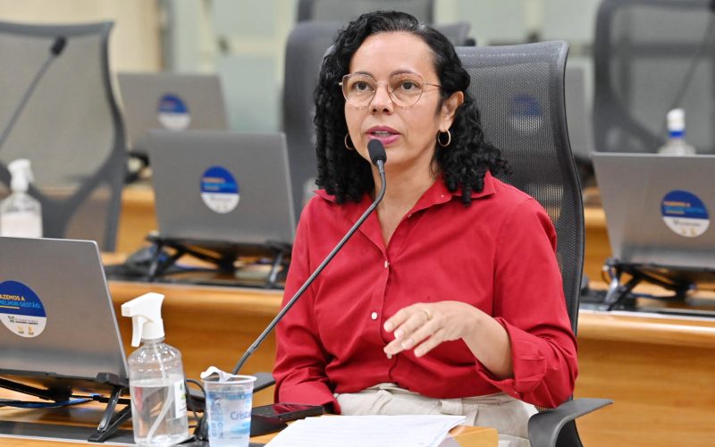 Divaneide Basílio celebra aprovação de projetos de valorização cultural na ALRN