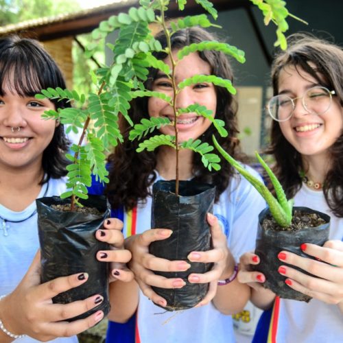 Mossoró realiza doação de mudas, compostagem e oficina de brinquedos com estudantes