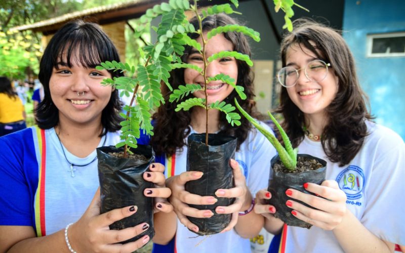 Conferências Intermunicipais do RN começam na próxima segunda-feira (20 )