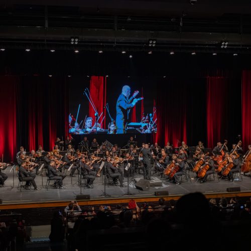 OSRN 50 anos: orquestra abre temporada em concerto com participação de Roberta Sá