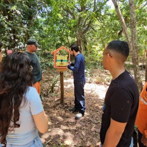 “De Férias no Parque” é lançado em Natal e programação segue até dia 30