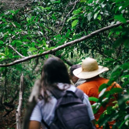 Festival 21K de Pipa promove encontro com trade turístico para fortalecer turismo esportivo