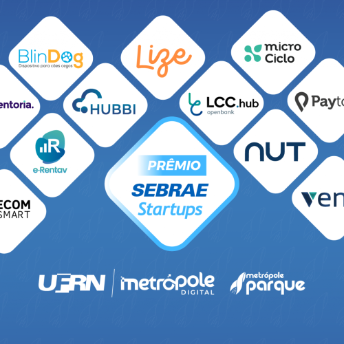 Metrópole Parque tem 17 empresas selecionadas para Prêmio Sebrae 2024