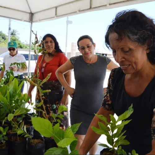 Projeto Verão Sustentável chega a Porto do Mangue promovendo consciência ambiental