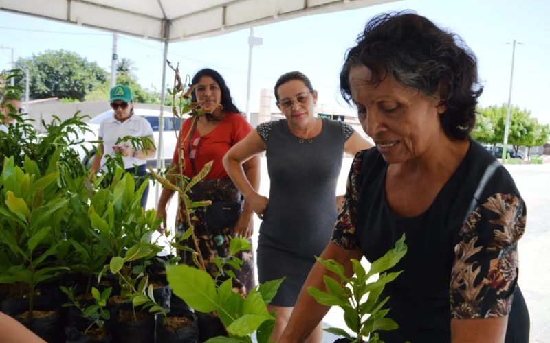 Projeto Verão Sustentável chega a Porto do Mangue promovendo consciência ambiental