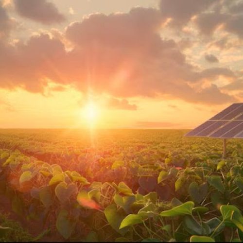 Agrishow 2026: EcoPower reafirma o valor do “fator humano”