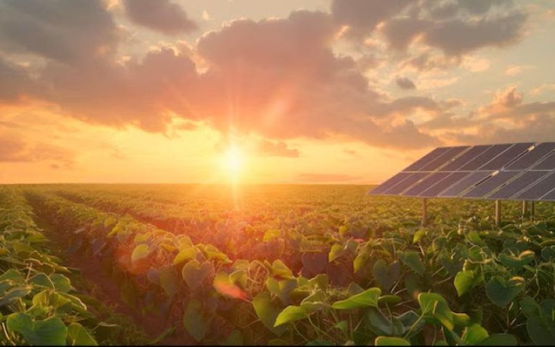 Agrishow 2026: EcoPower reafirma o valor do “fator humano”