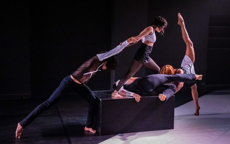 São Paulo Escola de Dança oferece bolsa de R$ 11 mil para Residência Artística