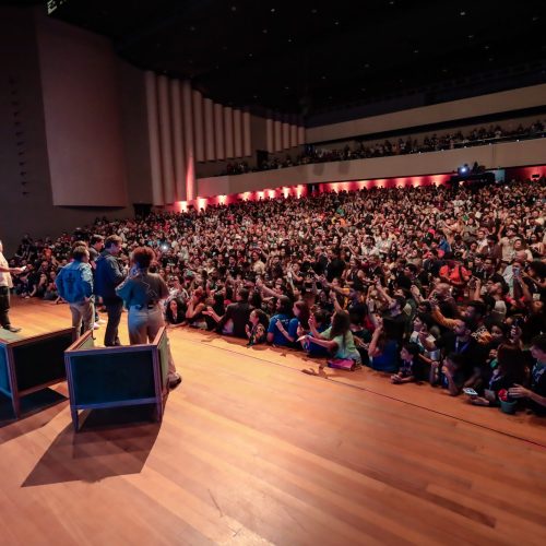 Imagineland anuncia dois grandes nomes da cultura pop: Érico Borgo e Rogério Vilela