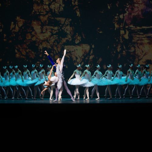 Festival de Dança de Joinville: abertura tem Bolshoi Brasil apresentando “O Lago dos Cisnes
