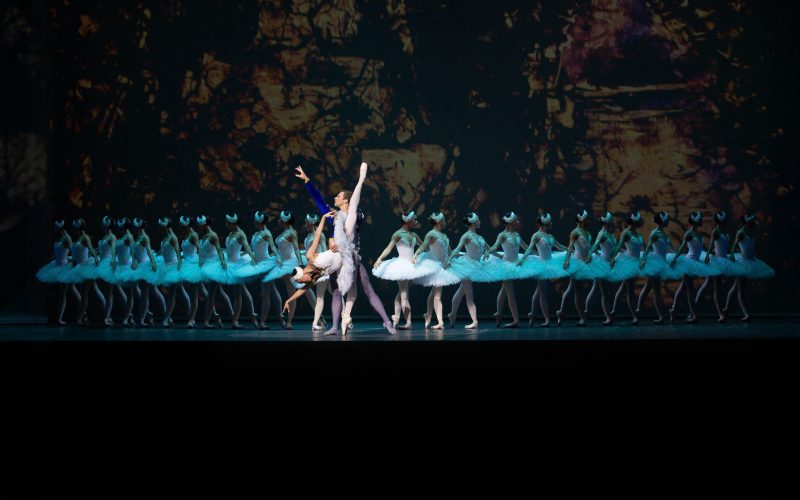 Festival de Dança de Joinville: abertura tem Bolshoi Brasil apresentando “O Lago dos Cisnes