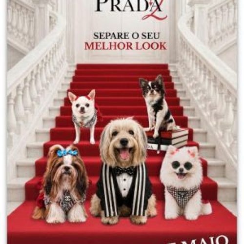 CINEPET realiza a 39ª edição no Moviecom Praia Shopping, com o filme “O Diabo Veste Prada 2”