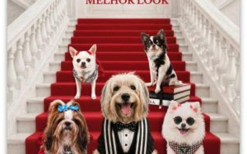 CINEPET realiza a 39ª edição no Moviecom Praia Shopping, com o filme “O Diabo Veste Prada 2”
