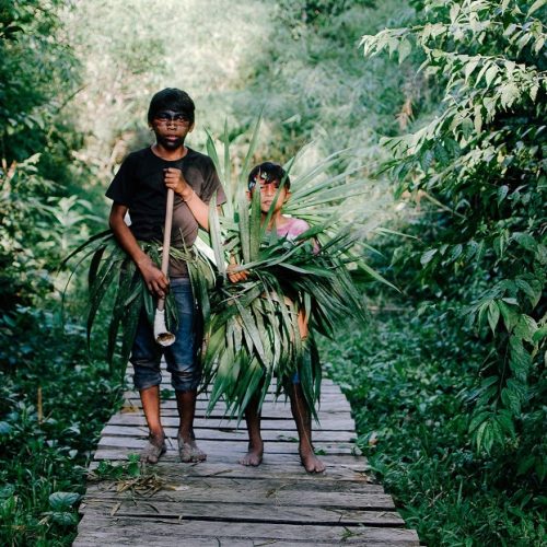 13° Mostra Ecofalante anuncia filmes selecionados para mostras competitivas em SP