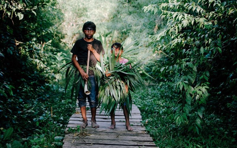 13° Mostra Ecofalante anuncia filmes selecionados para mostras competitivas em SP