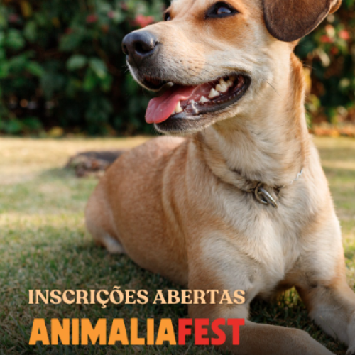 Inscrições abertas para a 1ª edição do Animalia Fest